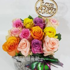 12 Color Roses