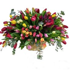 Multi Color Tulips Basket