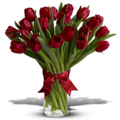 20 Red Tulips in a Vase