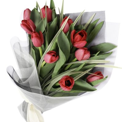 10 Red Tulips