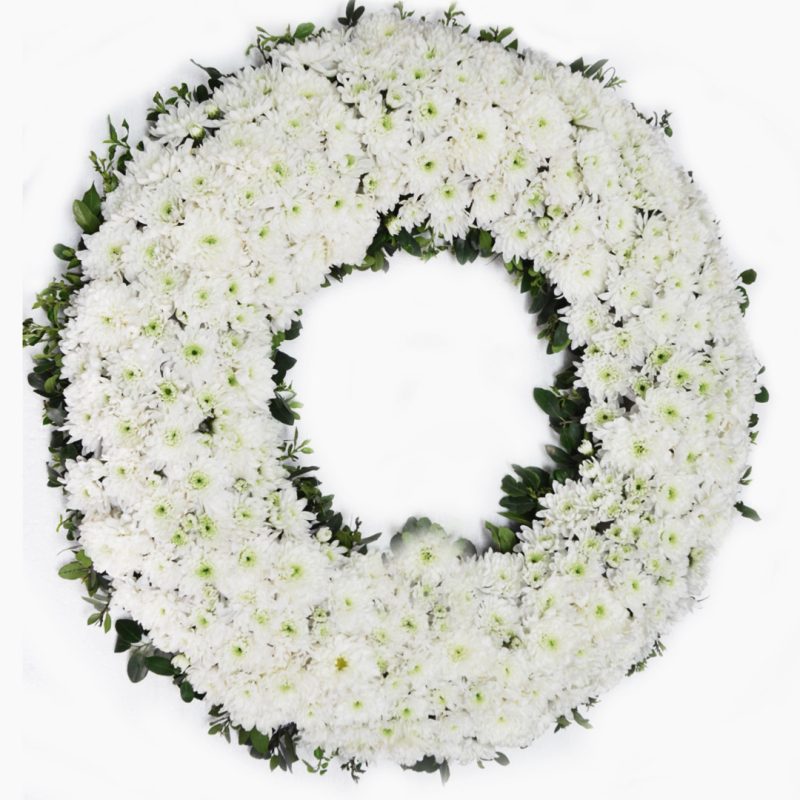 Chrysanthemum White Wreath Flower